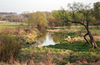 12.04.2016_richka_svydnya.jpg  (6222 bytes)