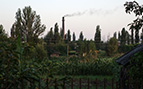18.08.2017_dymar_sylikatny_dymyt.jpg  (7931 bytes)