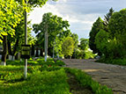 dubovytchi_golovna_vulytsya.jpg  (11955 bytes)