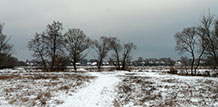 02.12.2018_krolevets_podolove_dulivka_zyma.jpg  (9027 bytes)