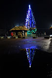 07.01.2018_krolevets_yalynka.jpg (4560 bytes)
