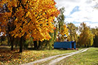 14.10.2017_osin_ukrayinska_tserkva.jpg (8730 bytes)