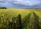 25.05.2013_hory_v_leninskomu.jpg  (9463 bytes)
