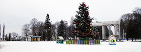 31.12.2015_miska_yalynka.jpg (19074 bytes)
