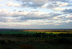 leninske_gory_06.10.2012.jpg  (7738 bytes)