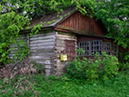 otrohove.jpg (8611 bytes)